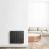Neomitis Calianthys Ecosens 750W Wall Mounted Electric Radiator Anthracite - PS0752ANA