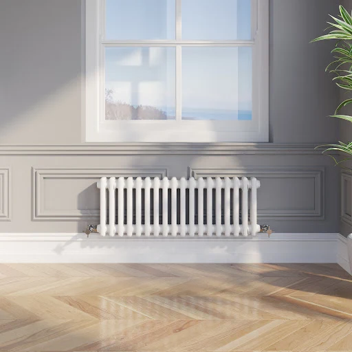 Park Lane Traditional Colosseum Double Bar Column Radiator White 300 X 830mm