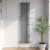 Park Lane Traditional Vertical Colosseum Double Bar Column Radiator Anthracite - 1600 X 380mm