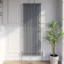Park Lane Traditional Vertical Colosseum Double Bar Column Radiator Anthracite - 1600 X 560mm